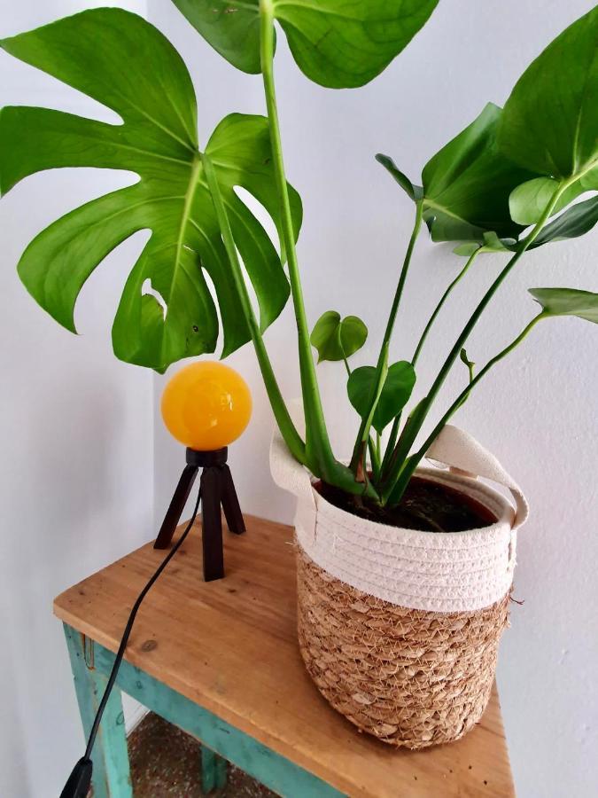 אנטקרה Apartamento Centro Pena De Los Enamorados מראה חיצוני תמונה